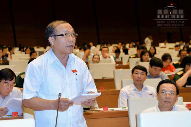 Đại biểu Đinh Duy Vượt (đoàn Gia Lai)
