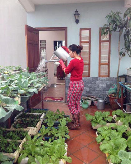 Khu vườn của những nàng dâu Việt khiến ngàn người mê và nể phục