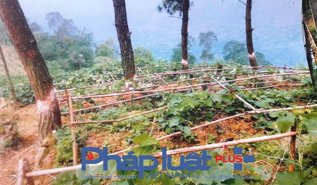 Trách nhiệm thuộc về ai? (Ảnh: Đào Tấn)