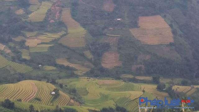 Những cung ruộng bậc thang, mộng ảo trong sương mây.