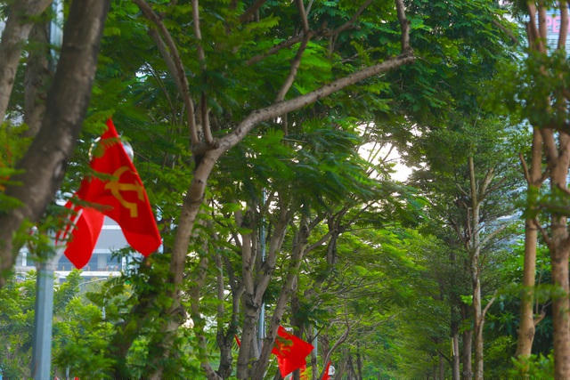Hàng cây xanh khép tán ôm trọn không gian tuyến đường tạo cảm giác mát mẻ, đồng thời làm thay đổi diện mạo nơi đây thêm xanh mát hơn.