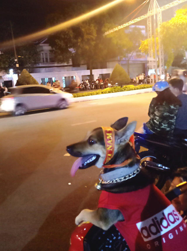 Một chú chó được chủ "trang bị tận răng" để đi cổ vũ, ăn mừng chiến thắng. (Ảnh: Nguyễn Hành)