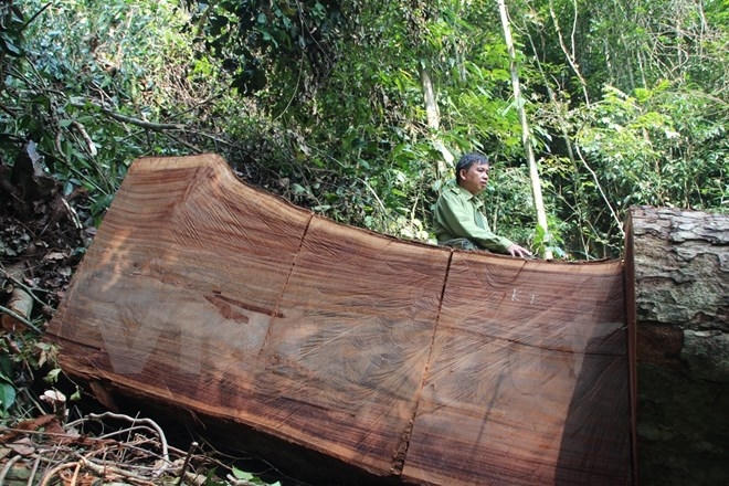 (Ảnh: H.V/Vietnam+)