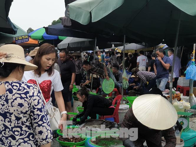 Khoảng 7h sáng, khu chợ bắt đầu nhộn nhịp, ai cũng muốn đến sớm để mua được những sản vật còn tươi ngon mang về làm quà hoặc cất tủ lạnh ăn dần.