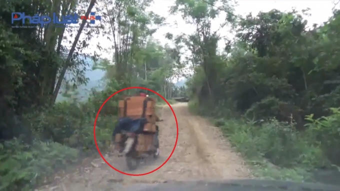 Gỗ nghiến chất kín lên xe không biển số, lưu thông trên mọi ngả đường.