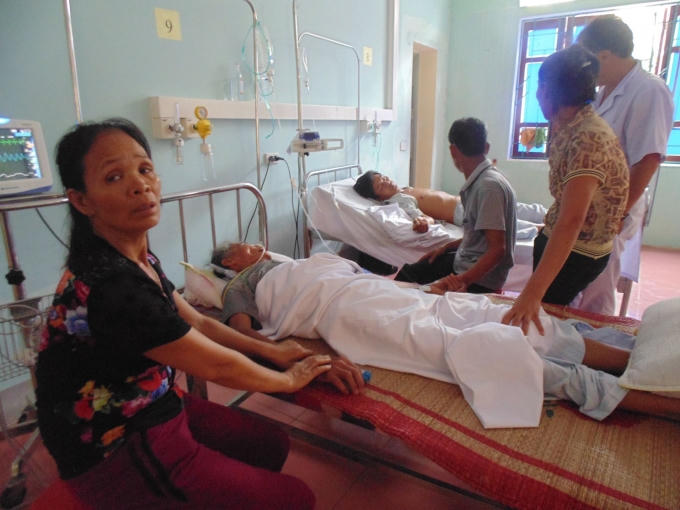 Sau khi ăn loại rau lạ 3 người trong gia đình anh Qúy phải nhập viện cấp cứu (ảnh Tường Vi).