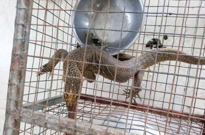 21d01e4ba3094a571318