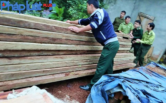 Gỗ nghiến xẻ nhóm 2A bị thu giữ tại gia đình ông Tẩn Tờ Dèn - Trưởng thôn Tân Sơn. (Ảnh: Tiến Vũ)