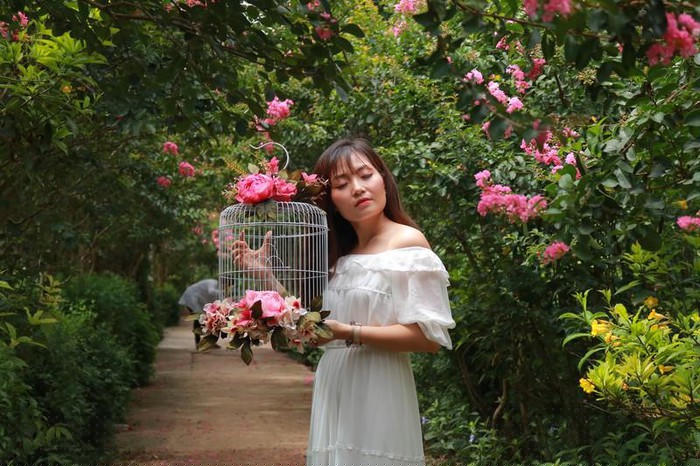 Trăm gốc tường vi đua nhau khoe sắc tại Tam Hiệp - Hà Nội - Hình 7