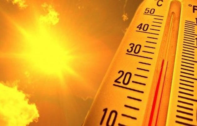 Ảnh minh họa, nguồn Internet.