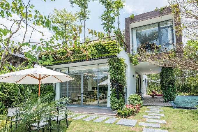 B&ugrave;ng nổ lần 2 với Flamingo