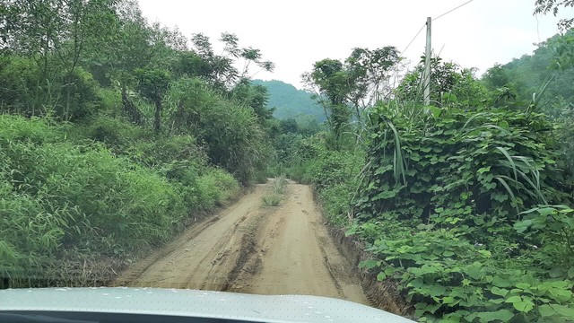 Nữ giám Äá»c thuê nhóm Äá»i tượng âÄầu Äá»câ nguá»n nưá»c sạch sông Äà là ai? - Ảnh 4.