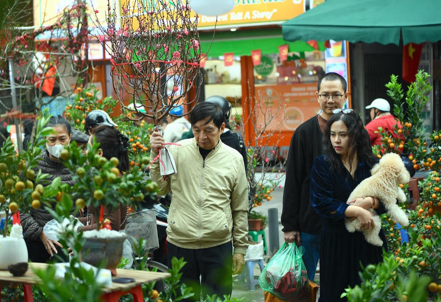 Sắc hoa, màu quả tạo nên không khí mới cho Hà Nội