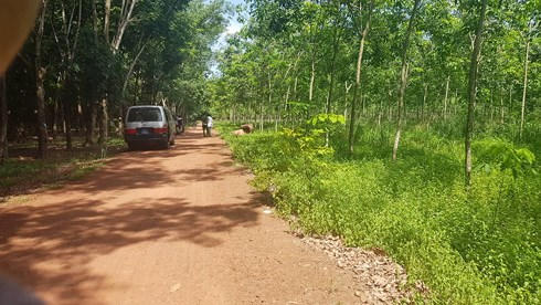 60658779_385338332065056_2686128673551024128_n