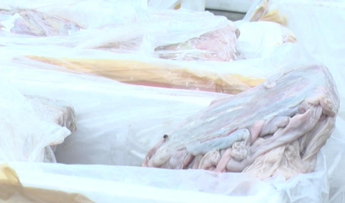 Nội tạng hôi thối này được mua với giá 13.000đ/kg.