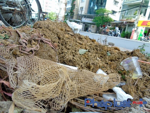 Một bọc lưới còn sót lại.