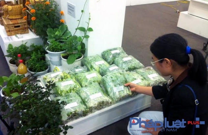 Sản phẩm rau hữu cơ đã được nhiều người tiêu dùng tin tưởng sử dụng. (Ảnh: Yên Ba).