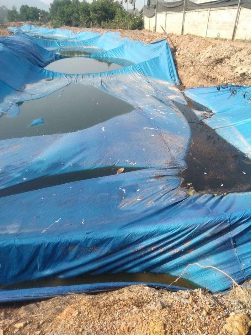 Một số hố đất Hòa Phát Phú Thọ đào trộm để giấu phân