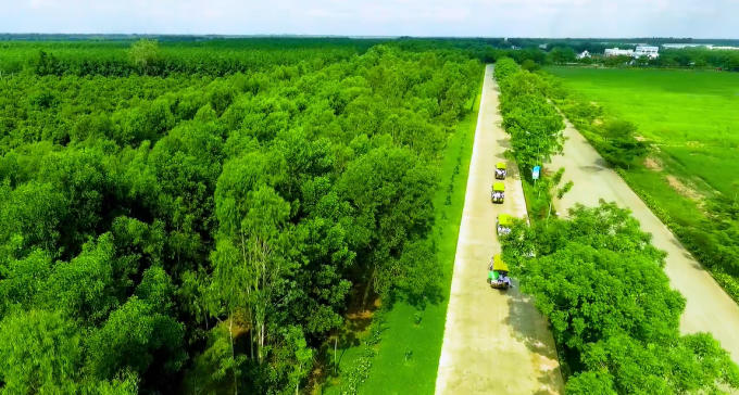 Những chiếc xe điện màu vàng nối đuôi nhau đưa các gia đình đến thăm ngôi nhà hạnh phúc của các cô bò sữa xinh đẹp.