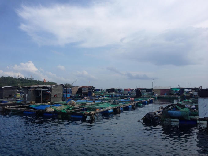 Xóa bè tạm, đóng bè mới trên Vịnh Nha Trang: Hàng chục hộ kinh doanh có nguy cơ phá sản