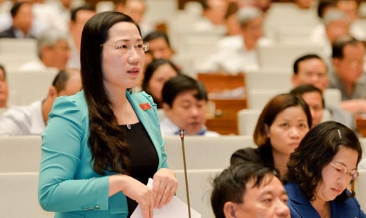ĐB Nguyễn Thị Thủy góp ý vào dự thảo Bộ luật Hình sự sửa đổi.