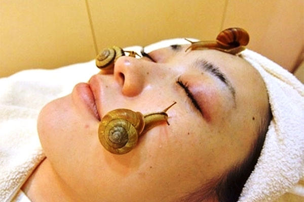 Phương pháp làm đẹp bằng nhớt ốc sên được nhiều chị em "ưa dùng". Ảnh: minh họa
