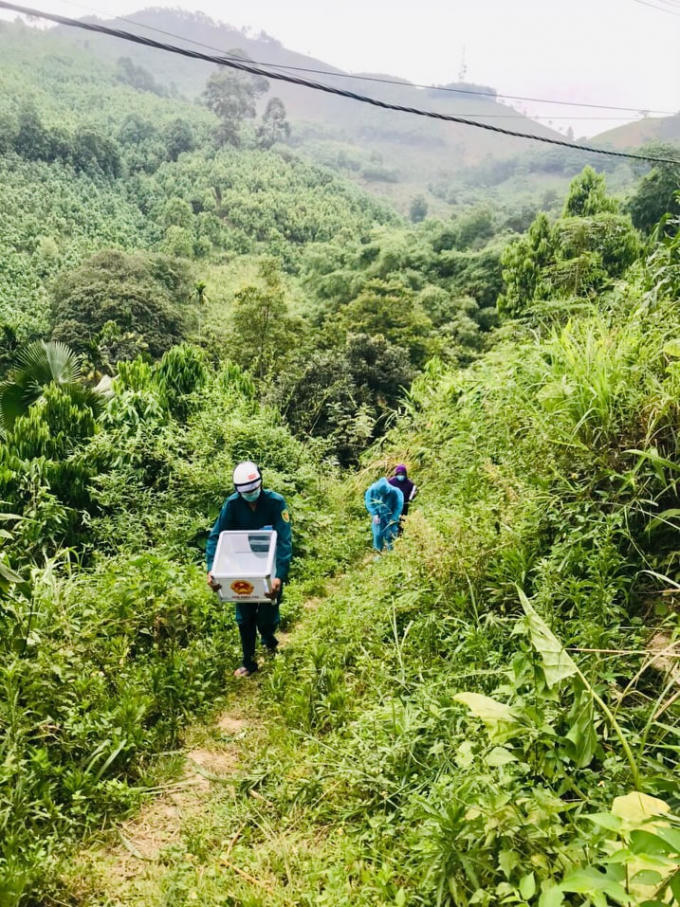 Tổ bầu cử xã Châu Quế Hạ, huyện Văn Yên, tỉnh Yên Bái băng rừng mang hòm phiếu đến phục vụ cử tri cách ly tại nhà phòng chống dịch Covid-19.
