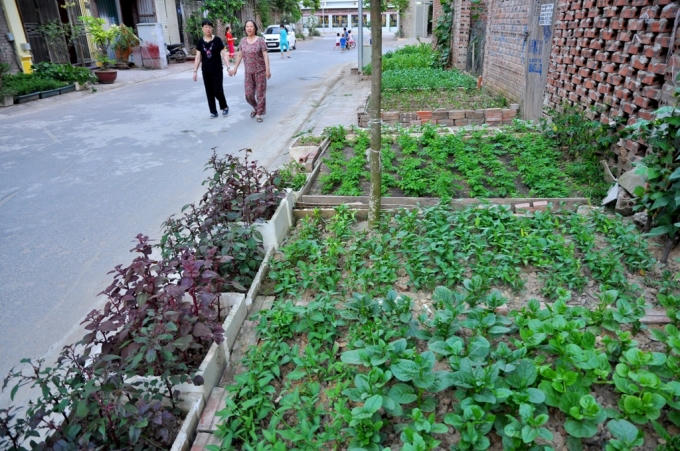 Vỉa hè gần như không còn một khoảng trống nào, người đi bộ đành phải đi dưới lòng đường.
