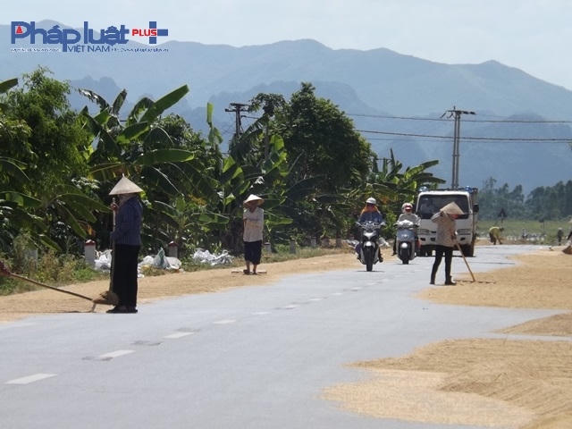 Việc phơi phóng ngay trên mặt đường tiềm ẩn nguy cơ rất lớn cho người tham gia giao thông và người dân trực tiếp phơi thóc lúa trên mặt đường.