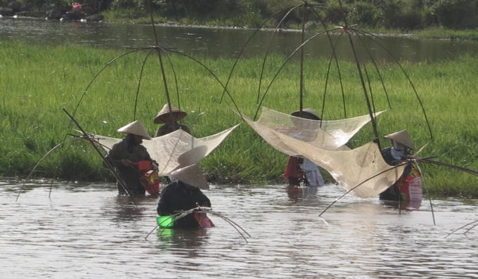 Những người phụ nữ miệt mài cất vó.