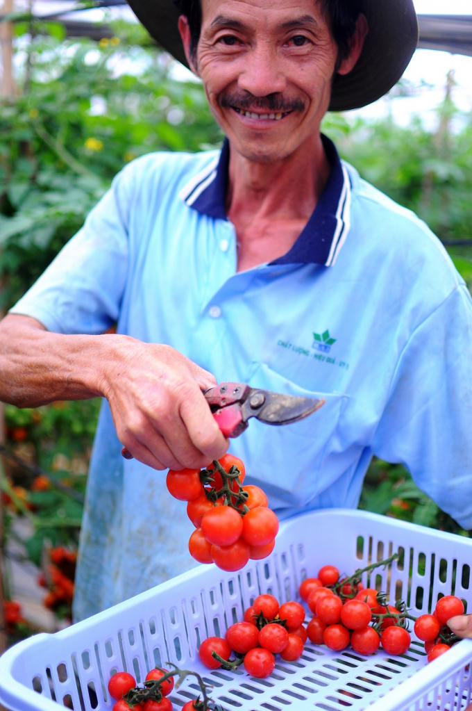Có nguồn thu nhập cao từ các vườn rau, những lão nông tại Lâm Đồng còn thuê cả kỹ sư về làm “cố vấn” và chịu trách nhiệm theo dõi trang trại.