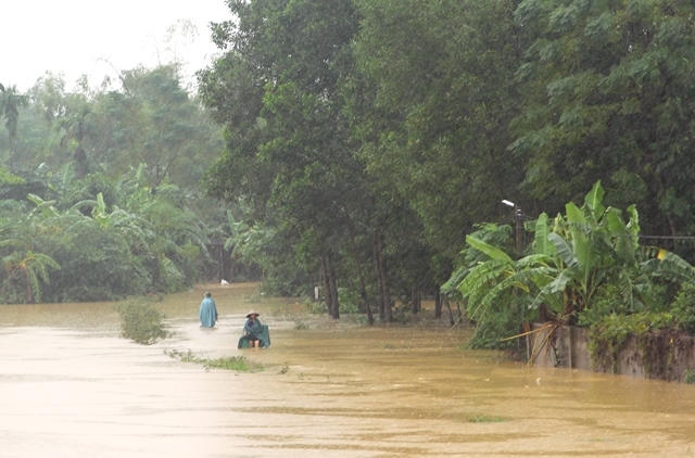 Dò dẫm trong biển nước.