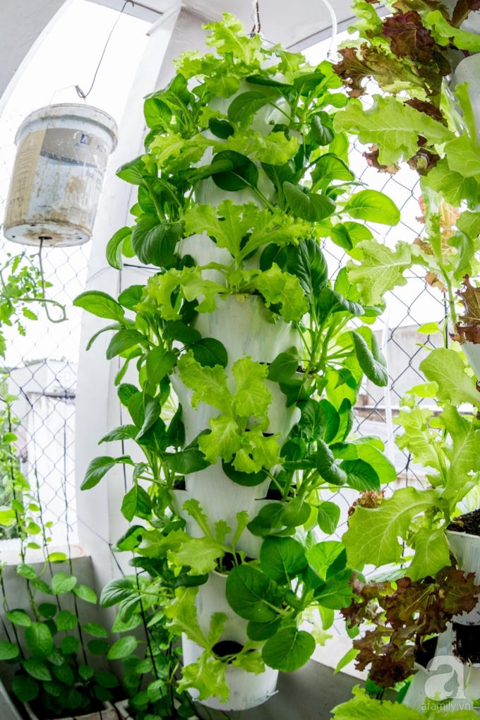 Thiết kế trụ treo cũng l&agrave; giải ph&aacute;p hợp l&yacute; cho ban c&ocirc;ng hẹp.