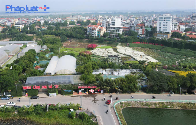 org_51d0f1937c745754_1606280022000