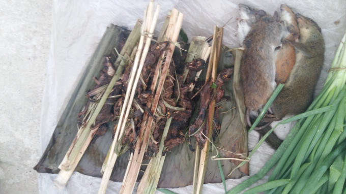 Các mặt hàng như chuột nướng, sóc nướng, nhái nướng... được bày bán rất nhiều.