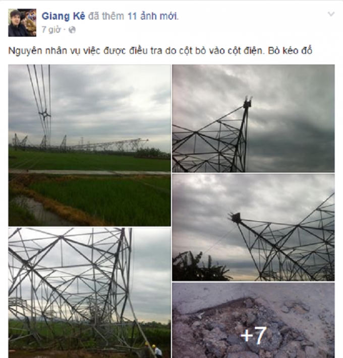 Thông tin xuất hiện trên Facebook Giang Kê nói cột điện bị đổ do... bò kéo.