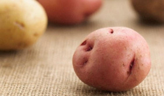 Cô gái trẻ đã tin theo lời khuyên của mẹ, nhét khoai tây vào “vùng kín” để tránh thai.