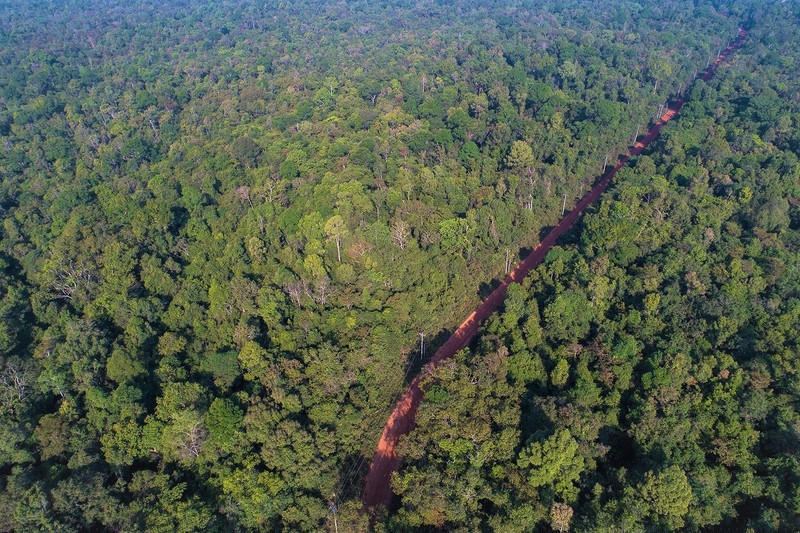 Vườn quốc gia Lò Gò Xa Mát.