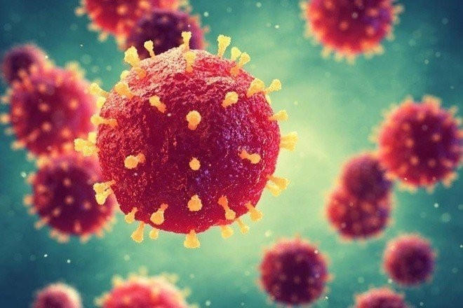 Thành phố Hà Nội tăng cường giám sát phòng, chống dịch bệnh do vi rút Nipah. (Ảnh minh hoạ).
