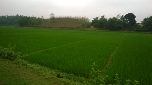 Ảnh minh họa. (Ảnh: Nguyễn Quỳnh/ Giáo dục và Thời đại)
