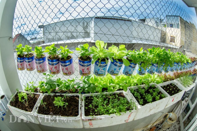 Chủ nhân của vườn rau 4 chữ siêu này là anh Nguyễn Văn Biển, sinh năm 1991 ở ngã Sáu, Châu Thành, Hậu Giang.