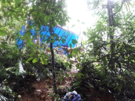 Quảng Bình: Choáng váng chứng kiến rừng phòng hộ Khe Nét 'chảy máu'