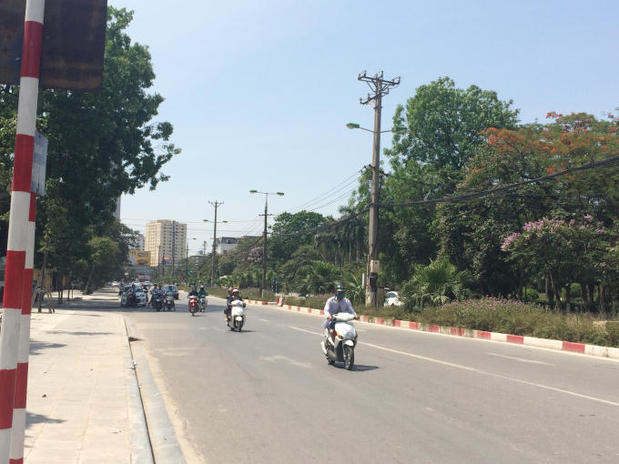 Bóng mát của những tán cây rộng luôn là lựa chọn yêu thích cho nhiều người mỗi khi có đèn đỏ.