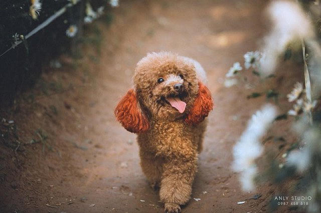 Cộng đồng mạng