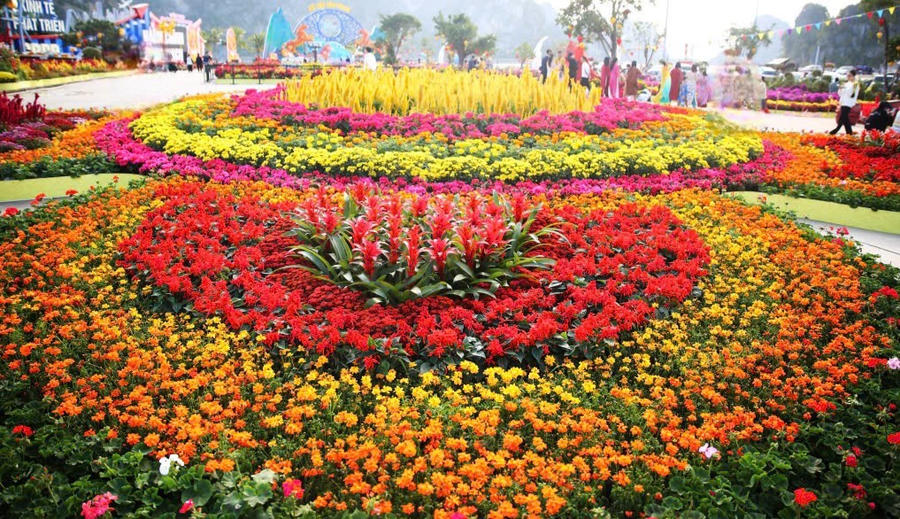 Không gian hoa rực rỡ sắc xuân tại Đại lộ hoa và công nghệ ánh sáng bên Vịnh Hạ Long thu hút đông đảo người dân, du khách tham quan.