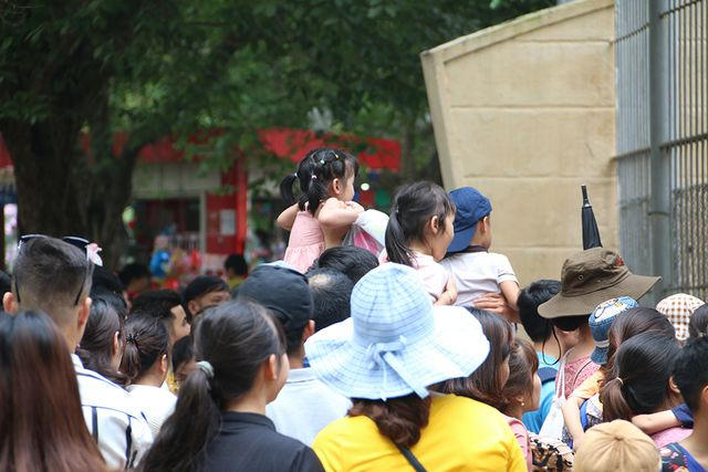Nhiều em nhỏ phải ngồi trên vai người thân mới có thể nhìn ngắm những con thú.