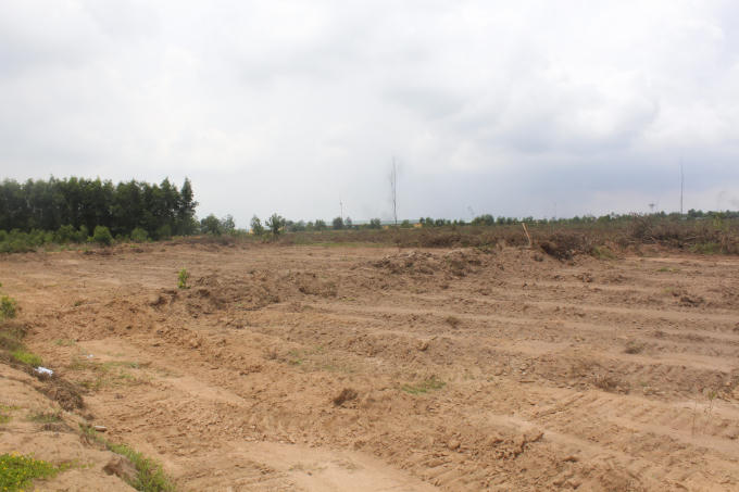 Khoảng 200m2 đất của gia đình ông Thảo bị san lấp mặc dù gia đình ông đang khiếu nại.