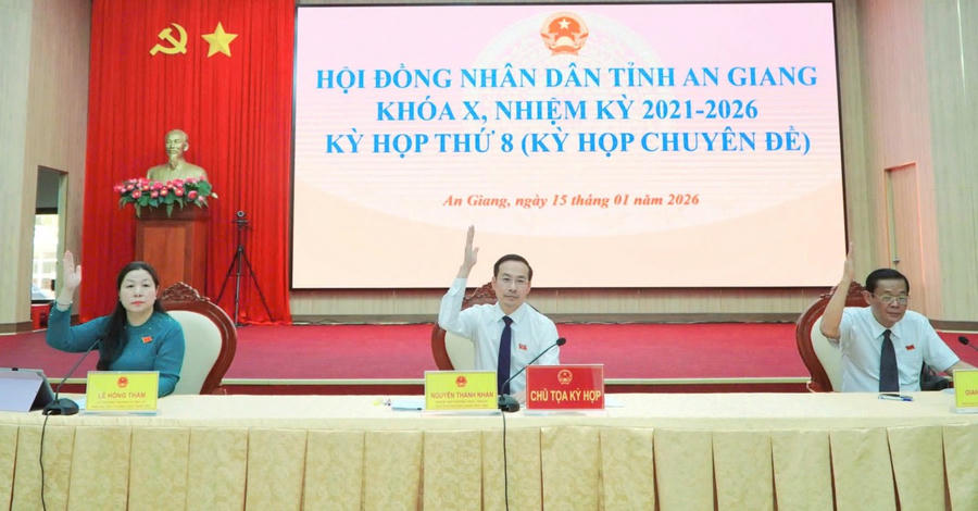 Đại biểu biểu quyết thông qua các nghị quyết.