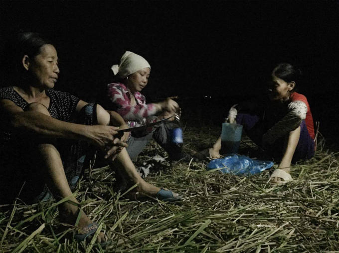 Bắc Giang: Tr&aacute;nh nắng
