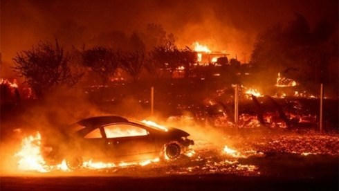 Ch&aacute;y rừng ở California, &ocirc;ng Trump ban bố t&igrave;nh trạng thảm họa
